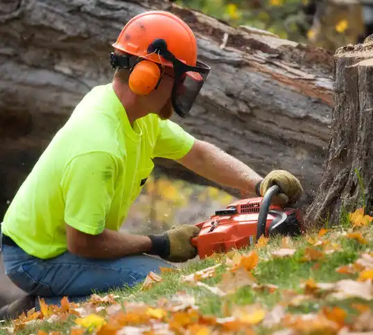 tree services Bucklin